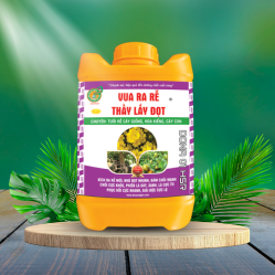 VUA RA RỄ THẦY LẤY ĐỌT 5L Chuyên tưới rễ cây giống, hoa kiểng, cây con